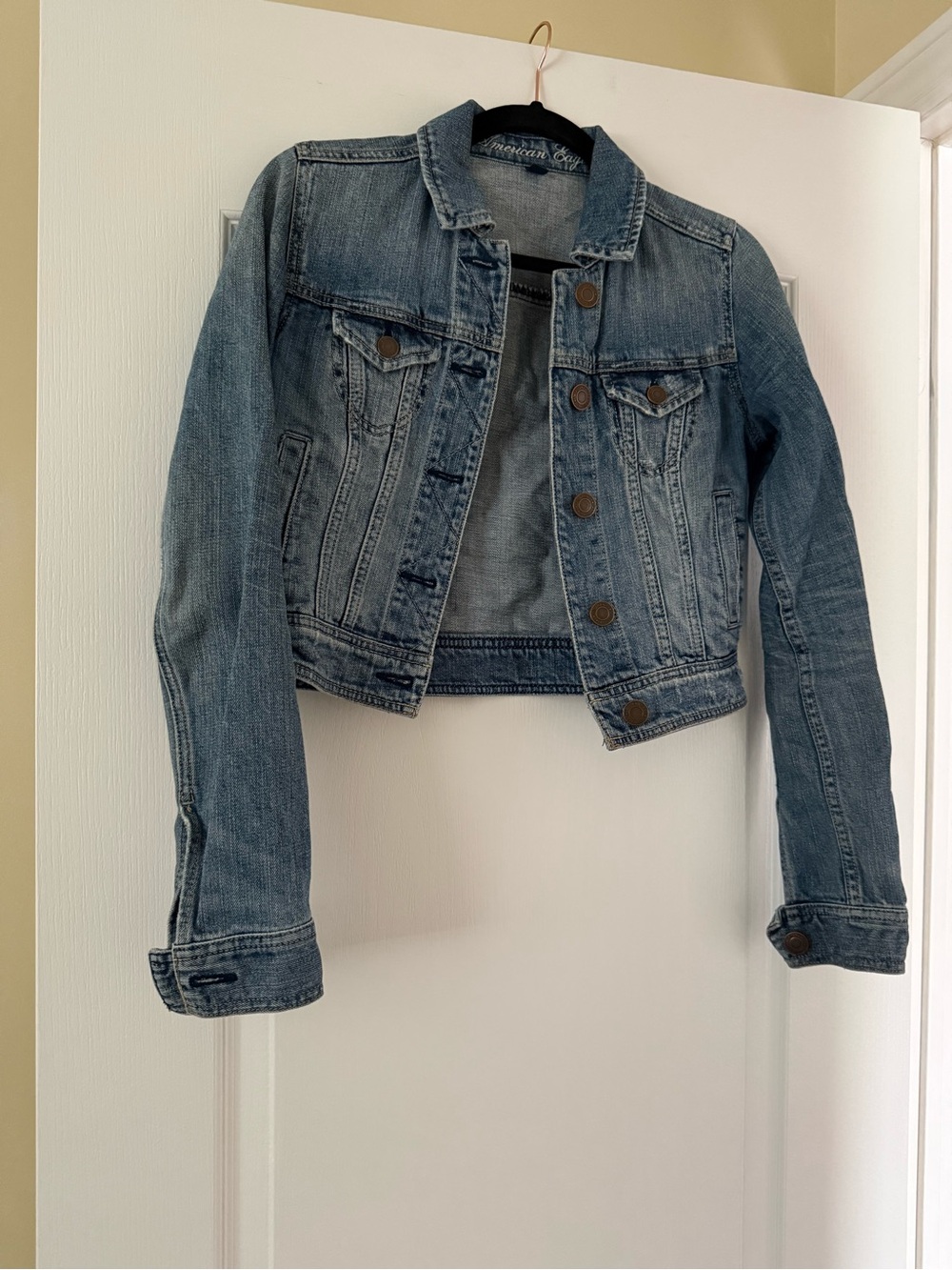 American Eagle Outfitters Cropped Medium Blue Denim Jacket